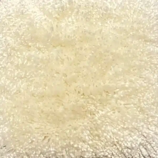 POLAR WHITE