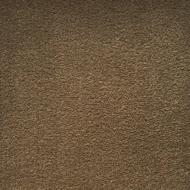 SAND DUNE