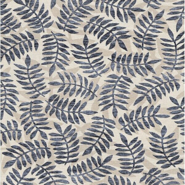 Pteris MWLL 1107 (Visualization)